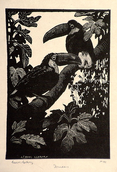 Artist: b'LINDSAY, Lionel' | Title: b'Toucans' | Date: 1925 | Technique: b'wood-engraving, printed in black ink, from one block' | Copyright: b'Courtesy of the National Library of Australia'