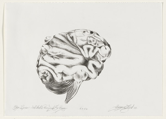 Artist: b'Tritton-Young, Maxienne.' | Title: bBrain species I. Aristotle's pre-requisite for reason | Date: 1986, November | Technique: b'lithograph, printed in black ink, from one stone'