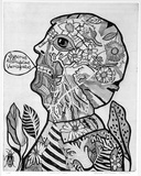 Artist: b'HANRAHAN, Barbara' | Title: b'Botanical man' | Date: 1965-75 | Technique: b'etching, printed in black ink with plate-tone, from one plate'