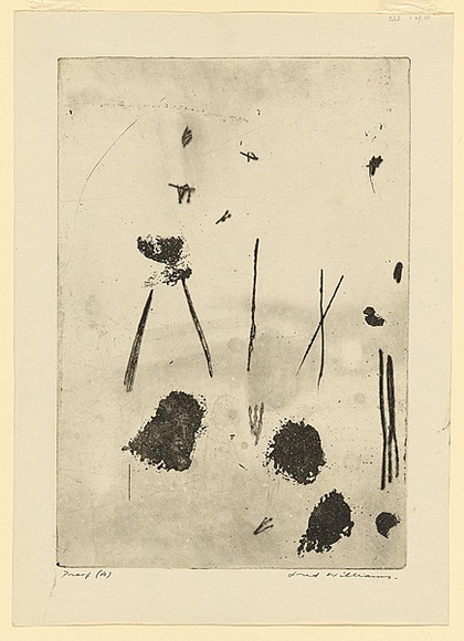 Artist: b'WILLIAMS, Fred' | Title: b'Gum trees in landscape, Lysterfield' | Date: 1965-66 | Technique: b'sugarlift-aquatint, engraving, and open biting, printed in black ink, from one copper plate' | Copyright: b'\xc2\xa9 Fred Williams Estate'