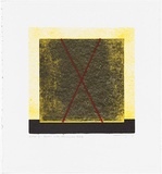 Artist: b'Hickey, Dale.' | Title: b'Redex with damaged lung' | Date: 1993 | Technique: b'lithograph, printed in colour, from three stones'