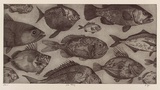 Artist: VIRGO, Anne | Title: Gone fishing | Date: 2001 | Technique: etching, printed in black ink with plate-tone, from one plate