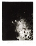 Artist: b'Shepherdson, Gordon.' | Title: b'The second plate (The bull plate). 10' | Date: 1977 | Technique: b'drypoint, printed as monotype, from one plate'