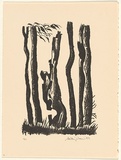 Title: Witchcliffe | Date: 1982 | Technique: lithograph, printed in black ink, from one stone