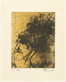 Artist: b'EWINS, Rod' | Title: b'Web.' | Date: 1967 | Technique: b'etching, softground etching and burin engraving, printed in colour, from one plate'