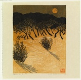 Artist: b'Thorpe, Lesbia.' | Title: b'Approaching sand storm' | Date: 1994 | Technique: b'linocut, printed in colour, from three blocks'