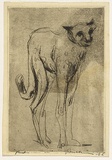 Artist: WILLIAMS, Fred | Title: Cheetah | Date: 1956 | Technique: drypoint and aquatint, printed in black ink, from one plate | Copyright: © Fred Williams Estate