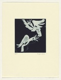 Artist: b'Law, Roger.' | Title: b'Not titled [small cockatoos 2].' | Date: 2003 | Technique: b'aquatint, printed in blue/black ink, from one plate'