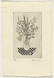 Artist: b'Cameron, Diana.' | Title: b'(Vase of flowers).' | Date: 1984, July | Technique: b'aquatint and etching, printed in black ink, from one plate'