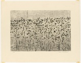 Artist: b'WILLIAMS, Fred' | Title: b'Hillside landscape, Lysterfield' | Date: 1965-66 | Technique: b'etching, flat biting, drypoint and mezzotint rocker, printed in black ink, from one plate' | Copyright: b'\xc2\xa9 Fred Williams Estate'