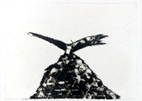 Artist: b'Roberts, Neil.' | Title: b'Eruptions 28' | Date: 1991 | Technique: b'pigment-transfer, printed in brown ink, from one bitumen paper plate'