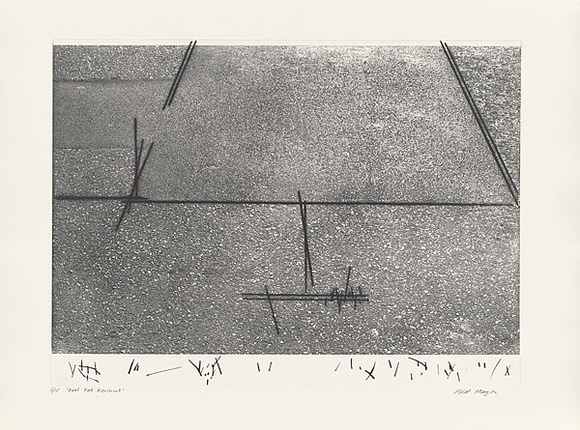Artist: b'MEYER, Bill' | Title: b'Kool Kat Konstruct' | Date: 1981 | Technique: b'photo-etching, aquatint, drypoint, printed in black ink, from one zinc plate' | Copyright: b'\xc2\xa9 Bill Meyer'