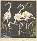 Artist: b'Voke, May.' | Title: b'Flamingoes' | Date: 1932 | Technique: b'linocut, printed in colour, from mutliple blocks'