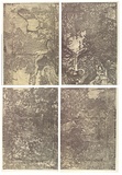 Artist: b'Sachs, Bernhard.' | Title: b'Demonstration: negative dialectics (reconstruction from a New York City corpse, 4:20 am, 1994, of X-rays of an anonymous 19th century American painting after Titian).' | Date: 1995, May | Technique: b'lift-ground, spit-bite, aquatint, roulette, burnish, drypoint and lithograph' | Copyright: b'\xc2\xa9 Bernhard Sachs'