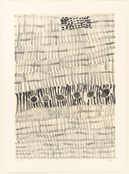 Artist: b'WARLAPINNI, Freda' | Title: b'Body painting II' | Date: 2001, January | Technique: b'lithograph, printed in black ink, from one stone' | Copyright: b'\xc2\xa9 Freda Warlapinni, Jilamara Arts and Craft'