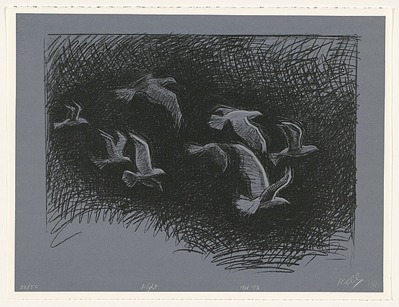 Artist: Kelly, William. | Title: Flight. | Date: 1988-93 | Technique: screenprint, printed in colour, from three stencils