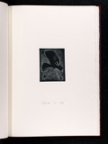 Artist: b'Gurvich, Rafael.' | Title: b'Pelican 2 - step [leaf 13: recto].' | Date: 1979, April | Technique: b'etching, printed in black ink, from one plate' | Copyright: b'\xc2\xa9 Rafael Gurvich'