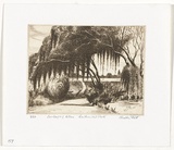 Artist: b'PLATT, Austin' | Title: b'Overhanging willows, Centennial Park' | Date: 1977 | Technique: b'etching, printed in black ink, from one plate'
