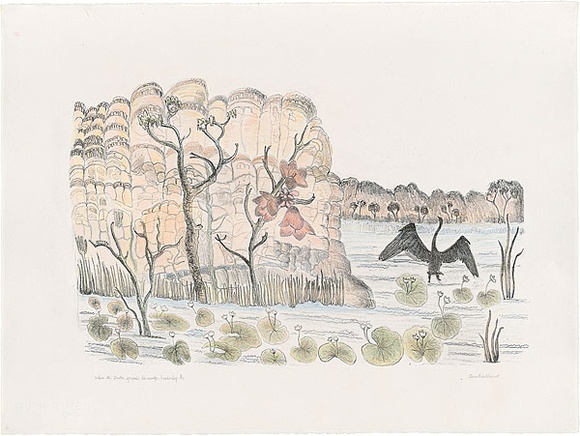 Artist: b'Bradhurst, Jane.' | Title: b'When the darter spreads his wings, Kimberley WA.' | Date: 1997 | Technique: b'lithograph, printed in black ink, from one stone; hand-coloured in watercolour'