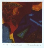 Artist: b'Brunnschweiler, Ulli.' | Title: b'New Island I' | Date: 2000, May | Technique: b'etching, printed in colour, from multiple plates'