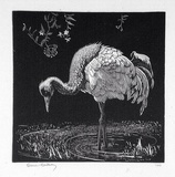 Artist: LINDSAY, Lionel | Title: The crane | Date: 1925 | Technique: wood-engraving, printed in black ink, from one block | Copyright: Courtesy of the National Library of Australia