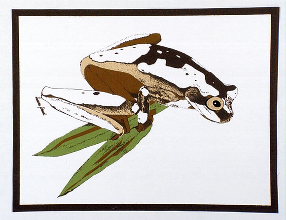 Artist: b'Shead, Leanne.' | Title: b'(The frog) (student work)' | Date: 1978 | Technique: b'screenprint, printed in colour, from four stencils'