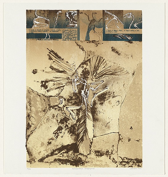 Artist: b'Denton, Chris' | Title: b'Archaeopteryx lithographica.' | Date: 1983 | Technique: b'lithograph' | Copyright: b'Courtesy of the artist'