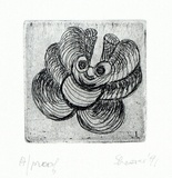 Artist: b'SHEARER, Mitzi' | Title: b'not titled' | Date: 1991 | Technique: b'etching, printed in black ink with plate-tone, from one plate'
