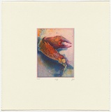 Artist: SCHMEISSER, Jorg | Title: Colour etching | Date: 1984 | Technique: etching and aquatint, printed in colour, from three plates | Copyright: © Jörg Schmeisser