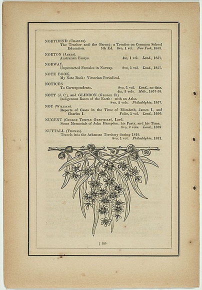 Title: b'not titled [eucalyptus coriacea].' | Date: 1861 | Technique: b'woodengraving, printed in black ink, from one block'