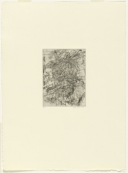 Artist: b'PARR, Mike' | Title: b'Organon I' | Date: 1987 | Technique: b'etching, printed in black ink, from one plate'