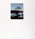 Artist: b'Pearson, Ian.' | Title: b'Oyster beds, Brooklyn' | Date: 1976 | Technique: b'screenprint, printed in colour, from multiple stencils'