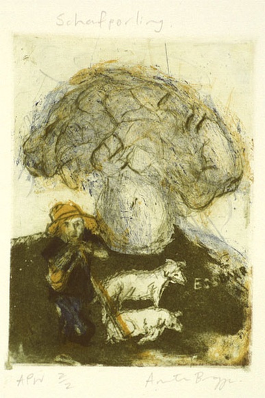 Artist: b'Bragge, Anita.' | Title: b'Schafporling' | Date: 1999, November | Technique: b'etching, drypoint and aquatint, printed in colour, from multiple plates'