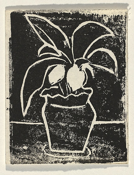 Title: b'Card: [potplant]' | Technique: b'linocut, printed in black ink, from one block'