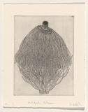 Artist: HALL, Fiona | Title: Algal bloom | Date: 1999, October | Technique: etching, printed in black ink, from one plate | Copyright: © Fiona Hall