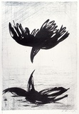 Artist: BOYD, Arthur | Title: (Blackbird flying over water). | Date: (1978) | Technique: lithograph, printed in colour, from multiple stones [or plates]
