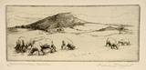 Artist: MORT, Eirene | Title: Black Mountain, Canberra | Date: 1924 | Technique: etching, printed in black ink, from one plate