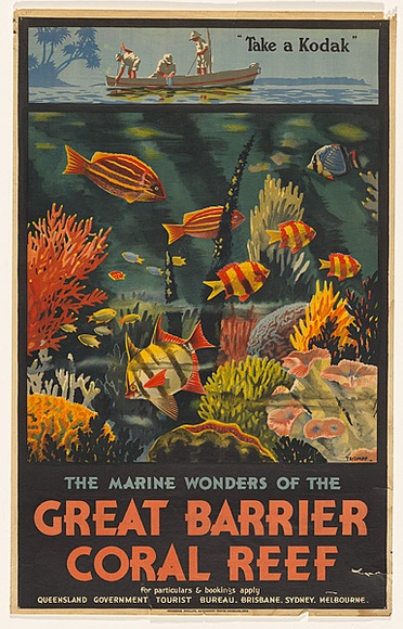 Artist: b'TROMPF, Percy' | Title: b'The marine wonders of the Great Barrier Coral Reef' | Date: 1933 | Technique: b'lithograph, printed in colour, from multiple stones [or plates]'