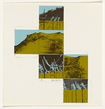 Artist: Booth, Robyn. | Title: not titled [power lines] | Date: 1980 | Technique: screenprint, printed in colour, from three stencils