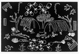 Artist: Petyarre, Joy | Title: not titled [No.38] | Date: 1990 | Technique: woodcut, printed in black ink, from one block | Copyright: © Joy Petyarr.  Licensed by VISCOPY, Australia