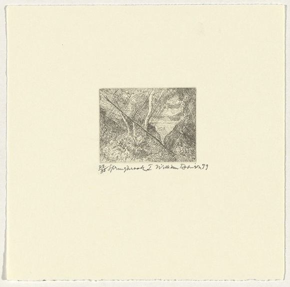 Artist: b'Robinson, William.' | Title: b'Springbrook 1' | Date: 1999 | Technique: b'etching, printed in brown ink, from one plate'