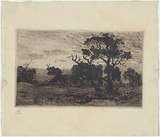 Artist: b'Abrahams, Louis.' | Title: b'Landscape.' | Date: 1886 | Technique: b'etching, printed in warm black ink with plate-tone, from one plate'