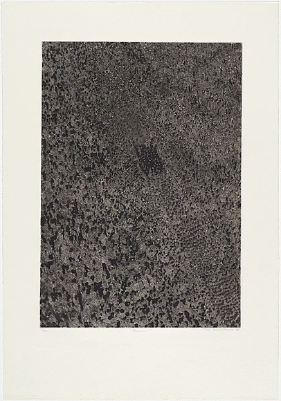 Artist: b'MADDOCK, Bea' | Title: b'Shadow' | Date: 1973 | Technique: b'photo-etching, engraving and aquatint, printed in black ink, from one plate'