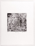 Artist: Nielsen, Ellie. | Title: Hideaway. | Date: 1988 | Technique: etching, printed in black ink, from one plate