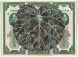 Artist: HALL, Fiona | Title: Actinidia deliciosa - Chinese gooseberry (Chinese currency) | Date: 2000 - 2002 | Technique: gouache | Copyright: © Fiona Hall