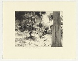 Artist: Mortensen, Kevin. | Title: Caleb's steps II | Date: 1999 | Technique: etching, printed in black ink, from one copper plate | Copyright: © Kevin Mortensen