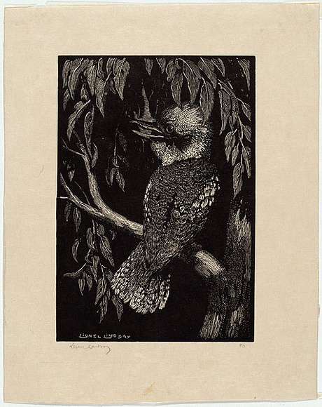 Artist: b'LINDSAY, Lionel' | Title: b'The Kookaburra' | Date: 1923 | Technique: b'wood-engraving, printed in black ink, from one block' | Copyright: b'Courtesy of the National Library of Australia'