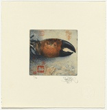 Artist: b'SCHMEISSER, Jorg' | Title: b'Crab claw and red seals' | Date: 1988 | Technique: b'etching and aquatint, printed in colour, from two plates' | Copyright: b'\xc2\xa9 J\xc3\xb6rg Schmeisser'