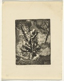 Artist: b'Cilento, Margaret.' | Title: bL'arbre sur neige. | Date: 1951 | Technique: b'etching and aquatint, printed in black ink, from one plate'