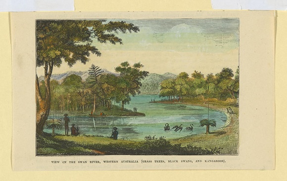 Title: b'View of the Swan River, Western Australia (grass trees, black swans, and kangaroos).' | Date: 1880s | Technique: b'engraving, printed in black ink, from one plate; hand-coloured at a later date'